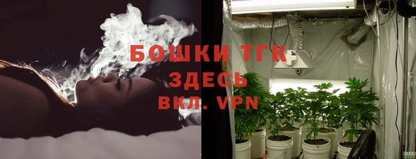 дживик Пересвет