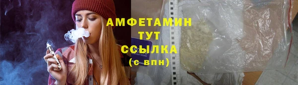 дживик Пересвет
