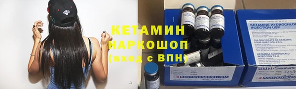 дживик Пересвет