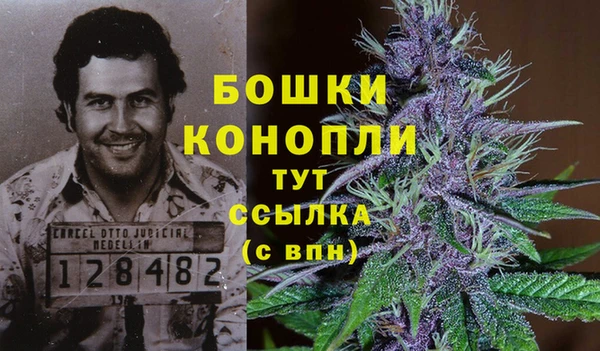твердый Пестово