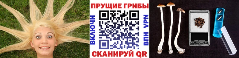 Галлюциногенные грибы мухоморы  что такое наркотик  Костерёво 