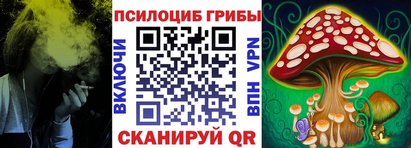 Галлюциногенные грибы Psilocybine cubensis Костерёво